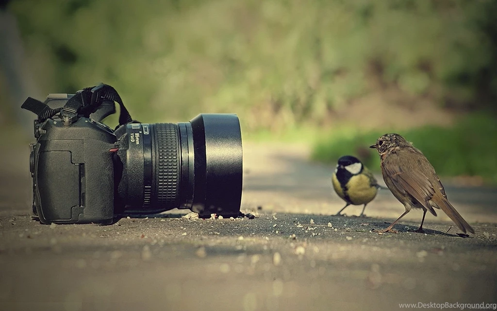 Widescreen Wallpapers, Full HD Desktop Wallpapers, Backgrounds ...