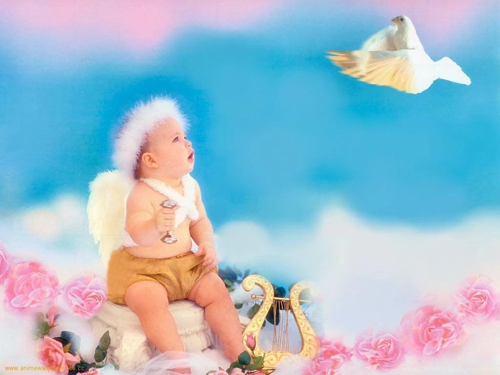 Baby Boy Angel Wallpapers 3431 Wallpapers Desktop Background