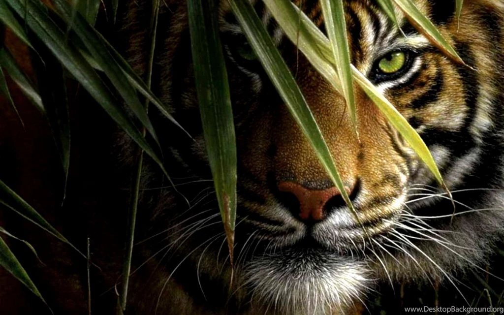 Free Tiger Wallpaper Face Image Leaves Picture.jpg
