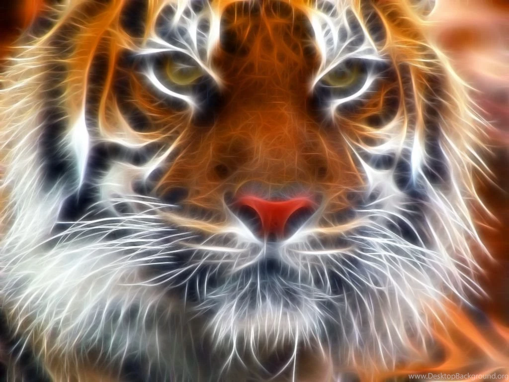 Amur Tiger Fractal   Amur Tigers Wallpapers (27143661)   Fanpop