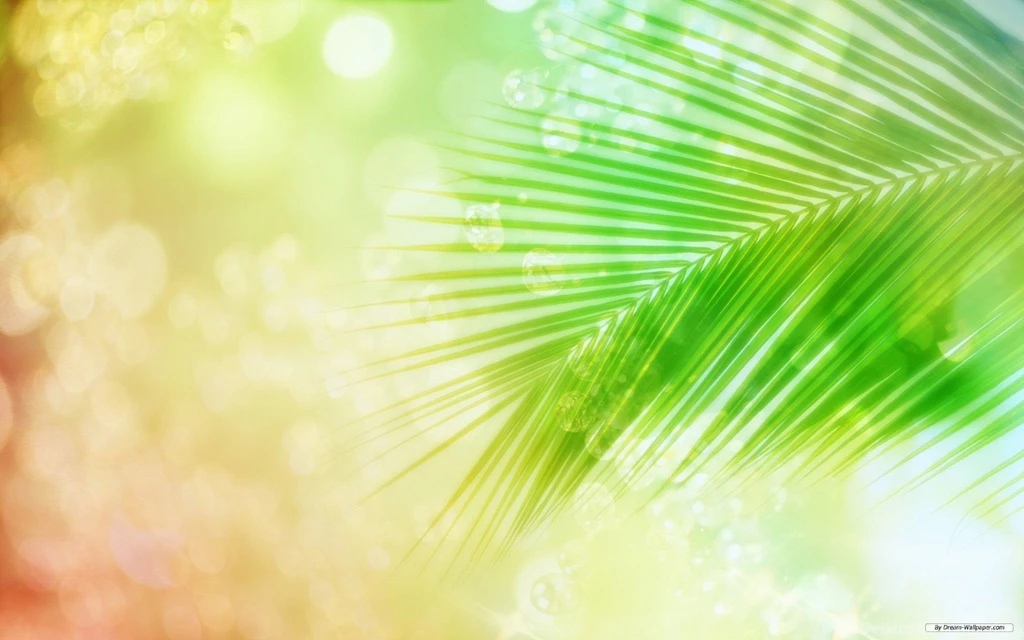 Free Wallpapers Free Nature Wallpapers Cg Seasons Spring Summer ...