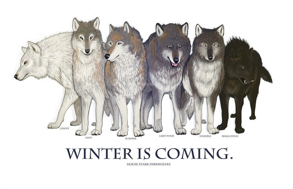 Game Of Thrones, Winter Is Coming, Direwolf, Ghost, House Stark ...
