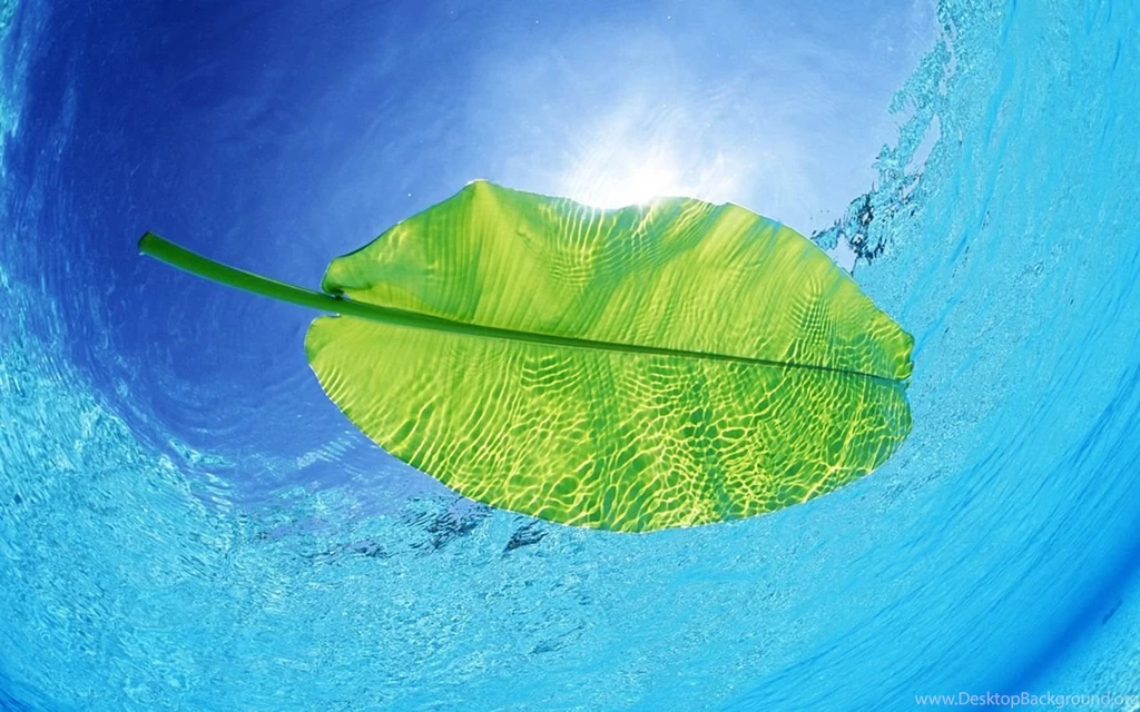Summer Wallpapers 176429