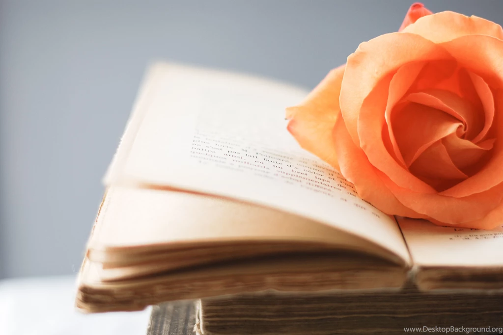182 Book HD Wallpapers