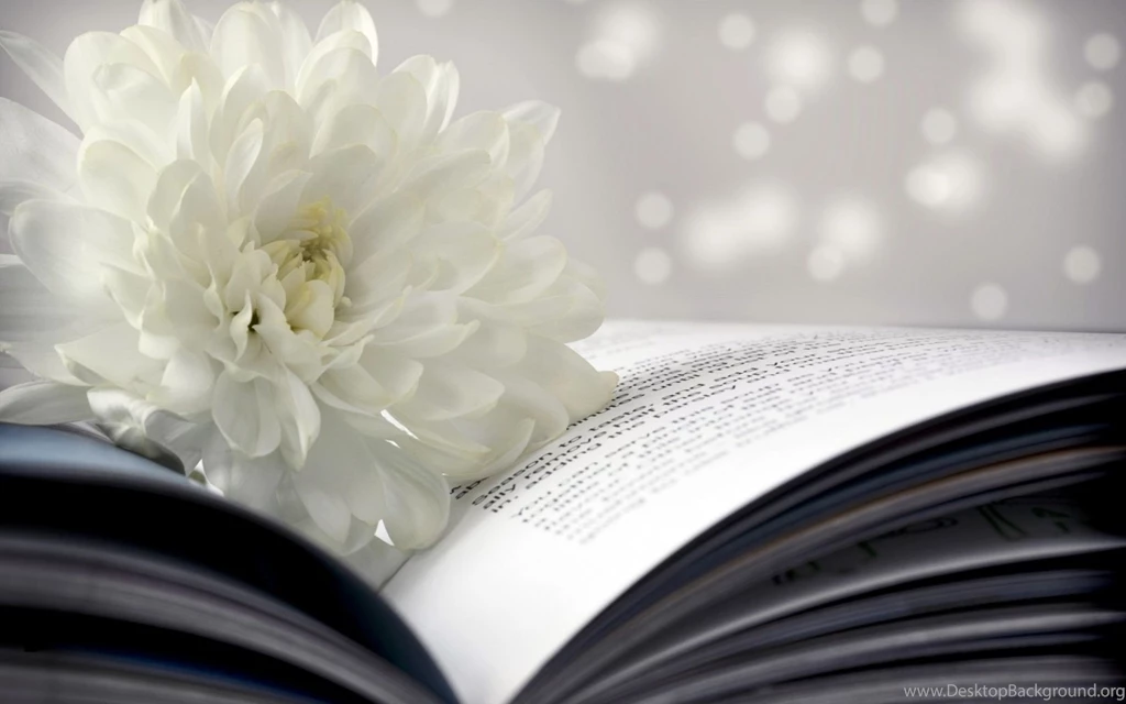 182 Book HD Wallpapers