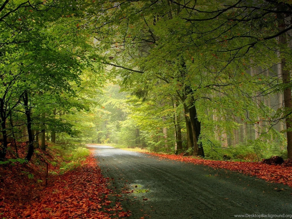 Nature Wallpapers Nature Desktop Wallpapers