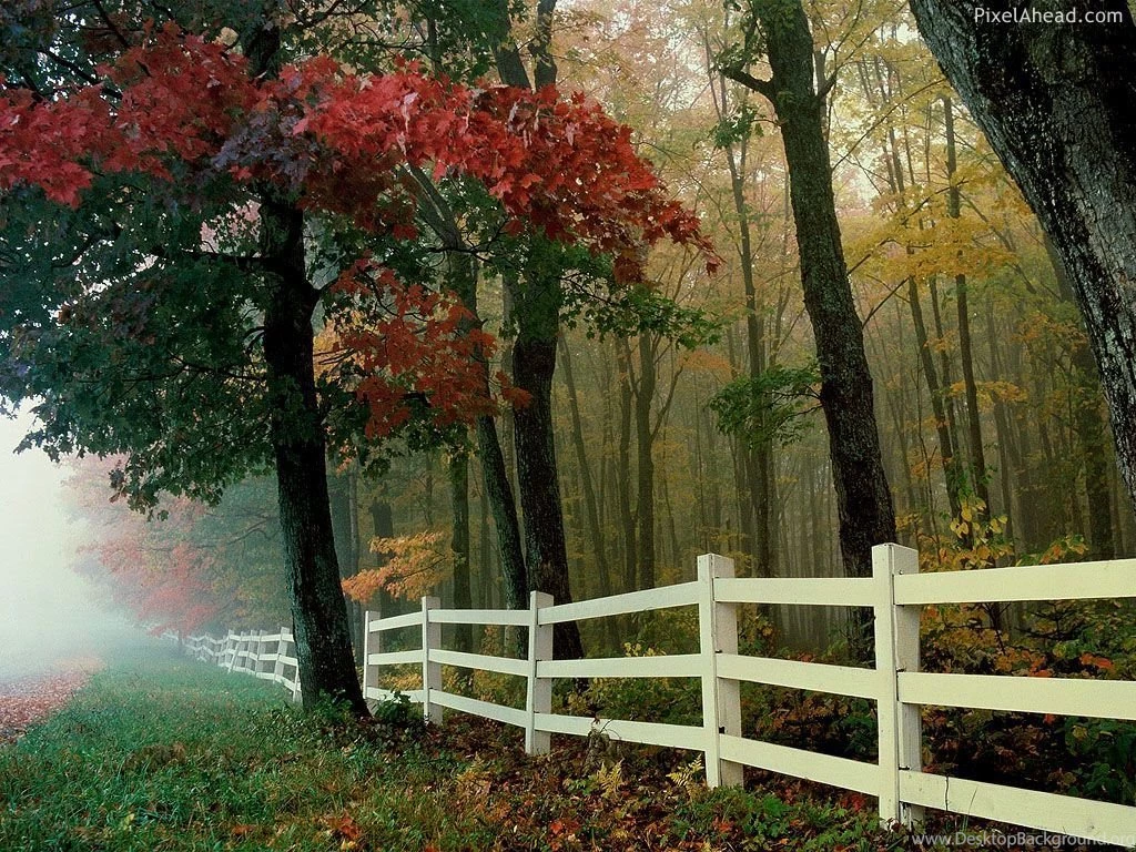 Nature Wallpapers And Nature Desktop Backgrounds Nature Wallpapers