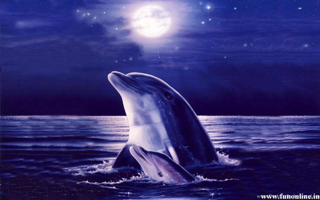 Dolphin Wallpapers Quotes. QuotesGram