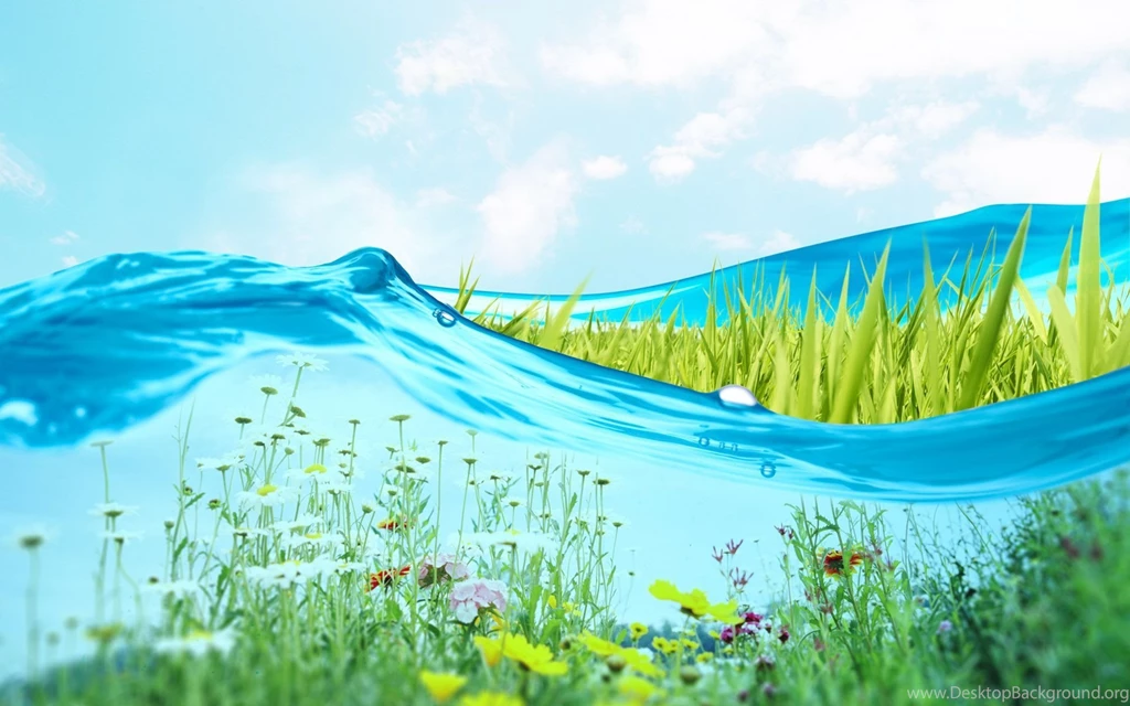 Fresh Green Wallpapers Wallpapers HD Wallpapers 85217