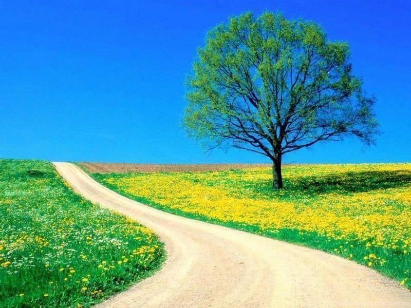 Fresh Wallpapers Get Fresh : Natures Colors