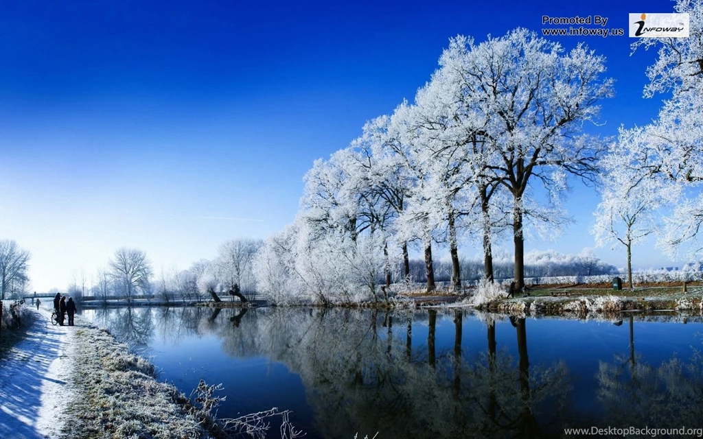 Winter Hd Images Photo 42 Of 331