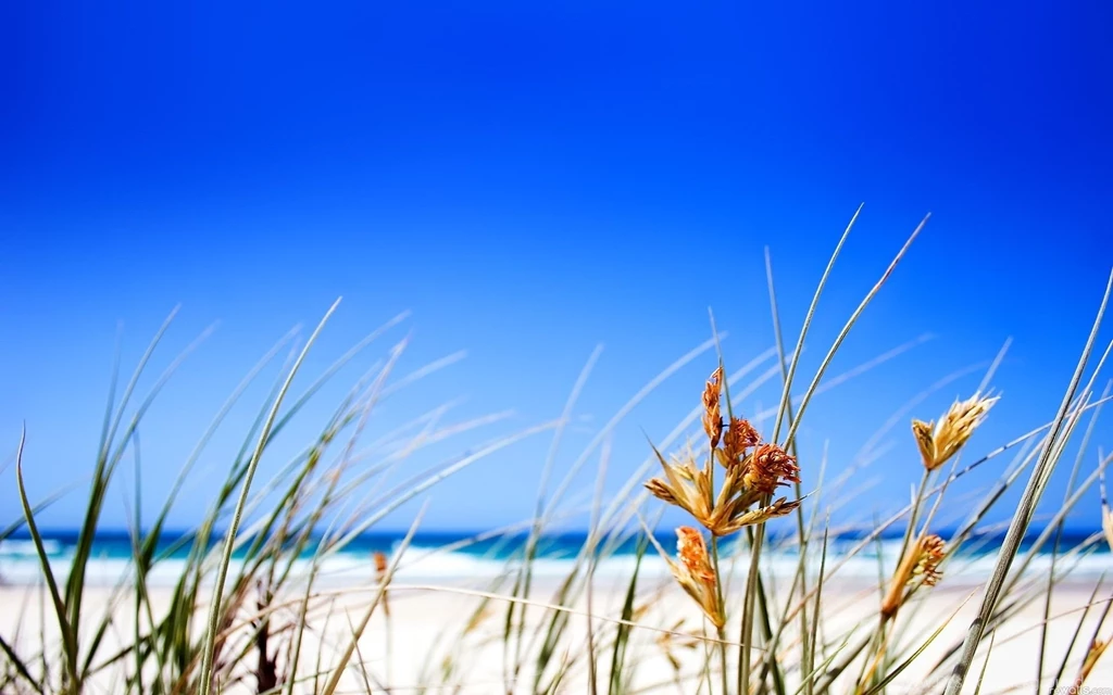 Beaches & Islands HD Wallpapers