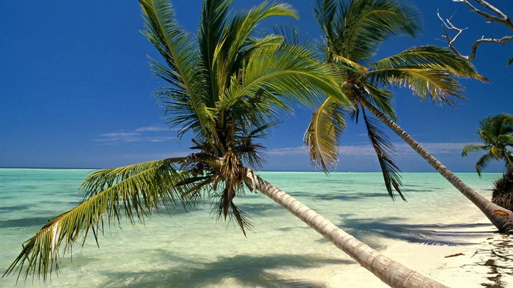 Desktop, Backgrounds, Wallpapers, Indies, Dominican, Punta, Beach ...