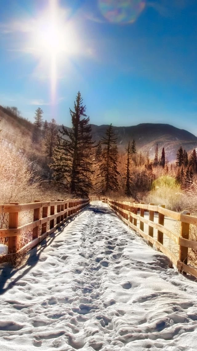 aspen trail winter iphone 5s wallpapers download desktop background