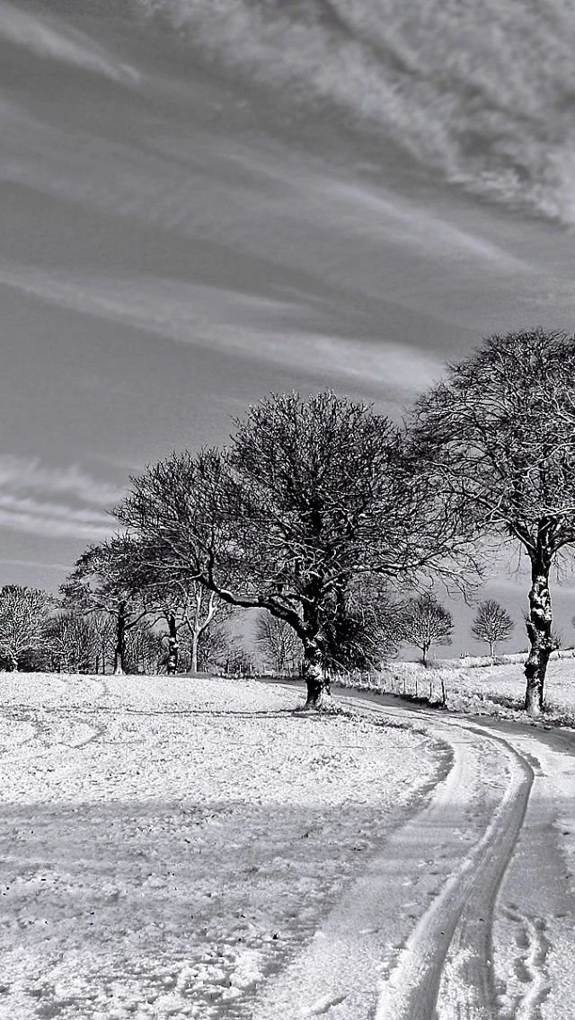 640x1136 Black And White Winter Iphone 5 Wallpapers