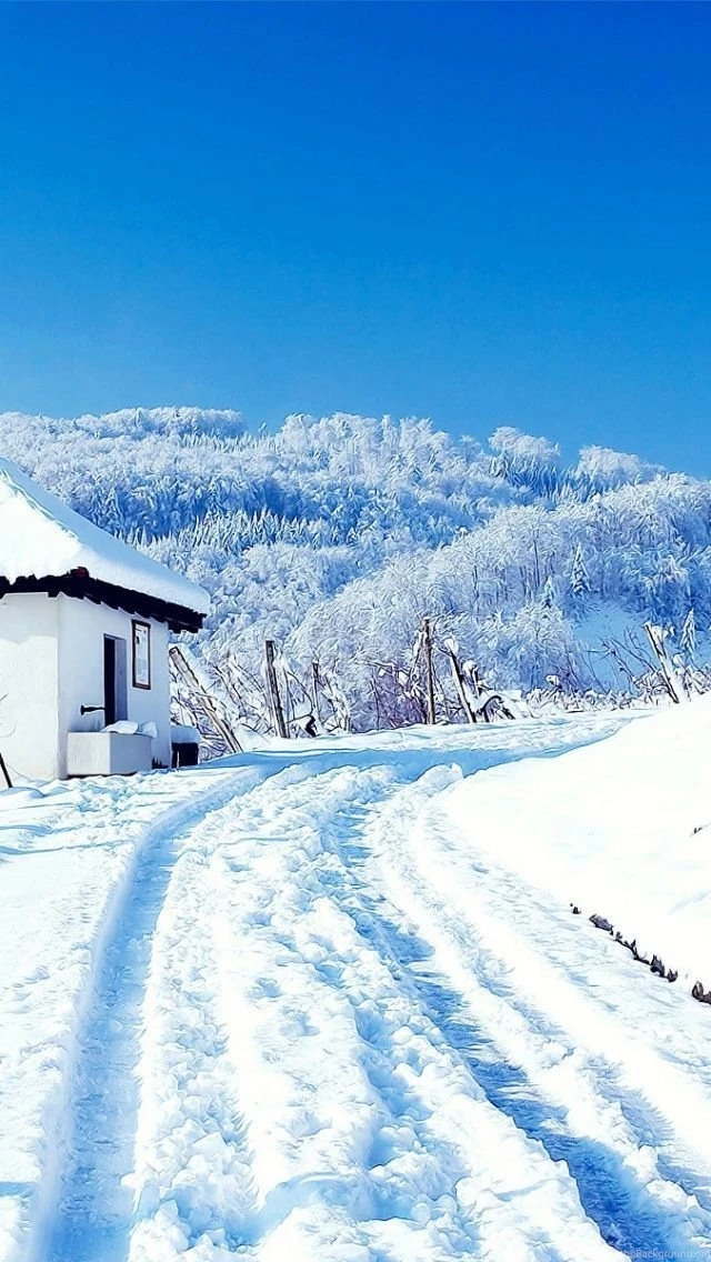 640x1136 Winter White Landscape Iphone 5 Wallpapers