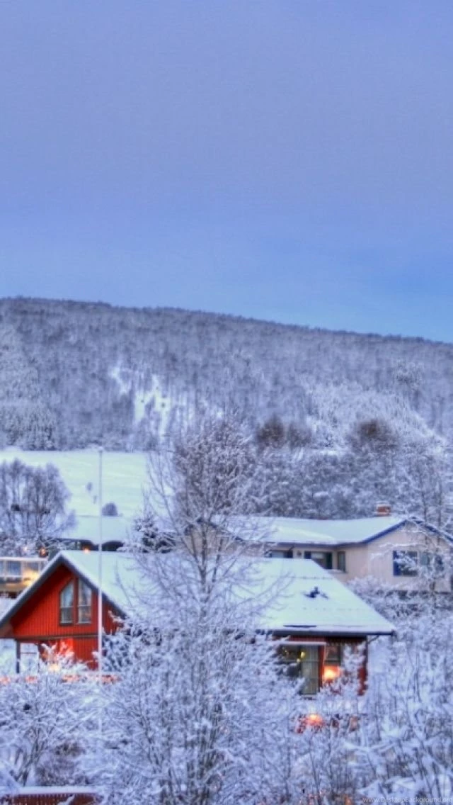 Norway Winter Scene iPhone 5 Wallpapers