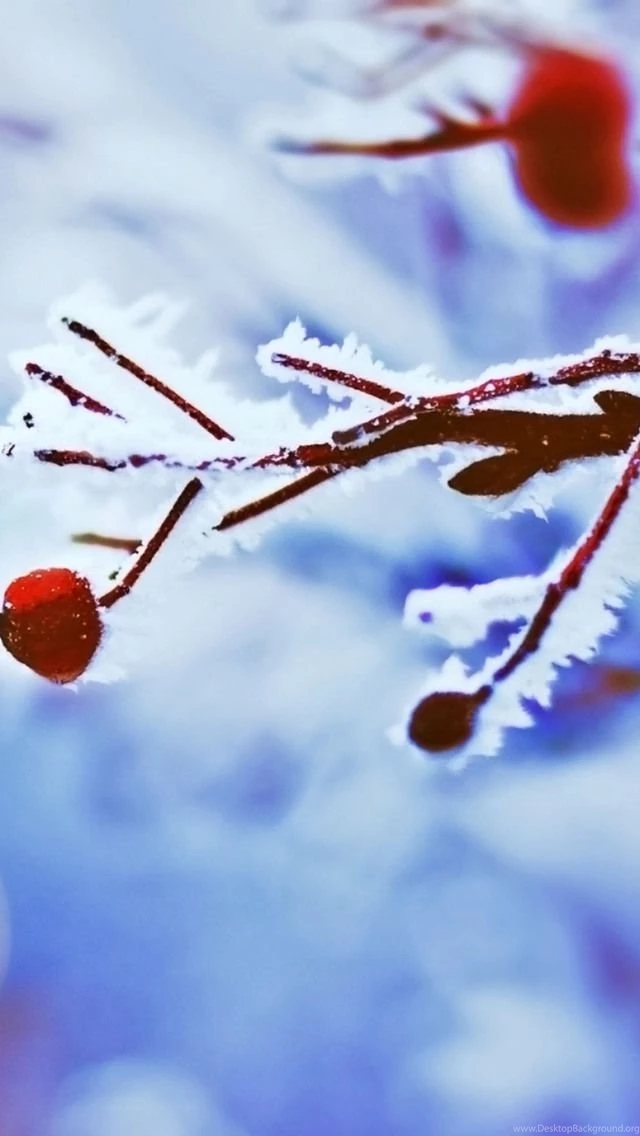 Wallpapers Weekends: Snow Is In The Air