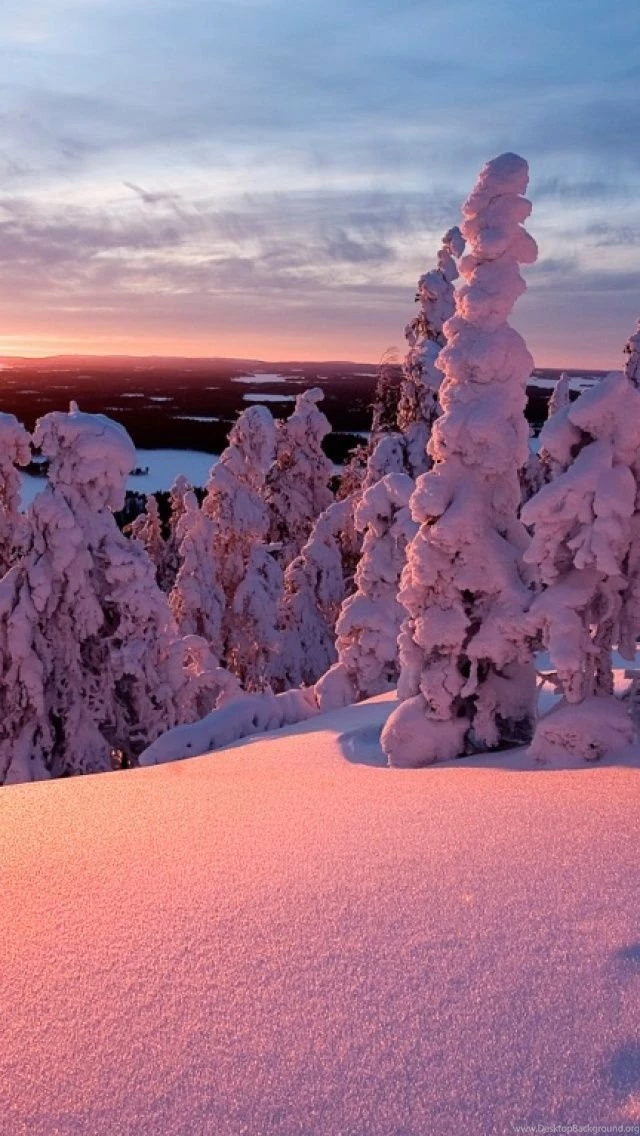 Winter Landscape iPhone 5 Wallpapers