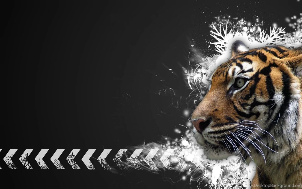High Definition Tiger Wallpapers For Free Download