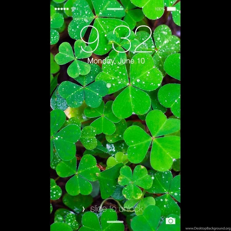 Clover Patch 1080p Phone Wallpapers