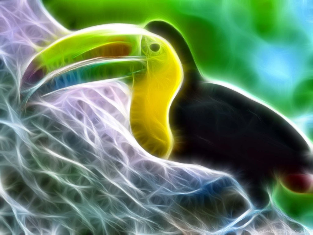 Toucan HD Wallpaper, Toucan Backgrounds, New Wallpapers