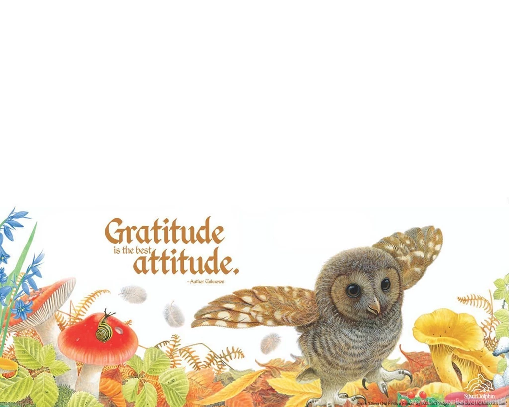 Silver Dolphin Books–Olivia Owl November Fall Desktop Wallpapers