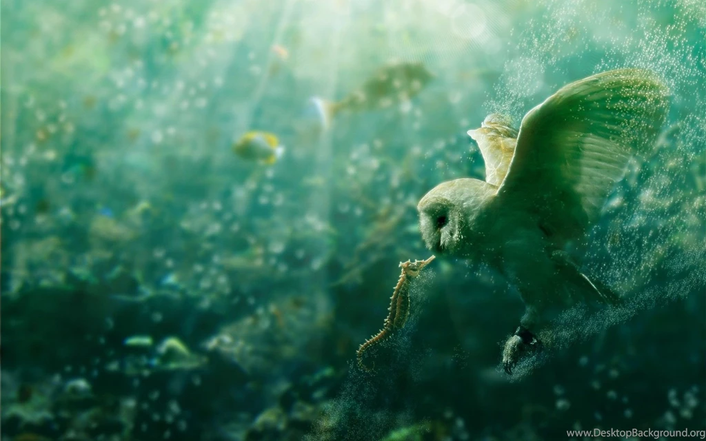 Owl Computer Wallpapers, Desktop Backgrounds