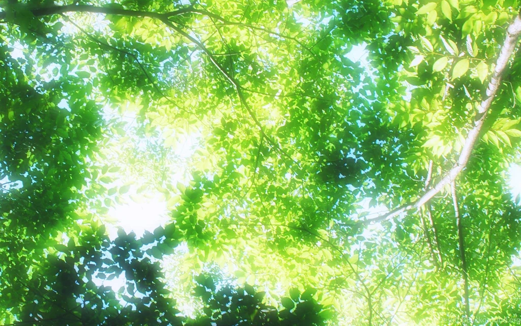 Anime Scenery Wallpapers