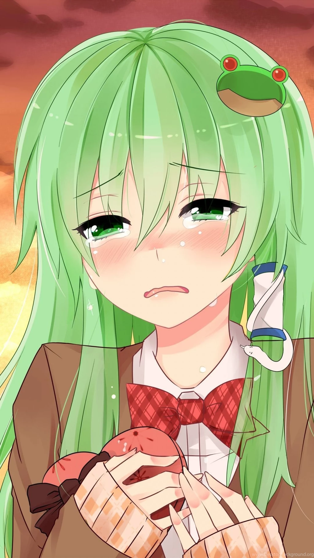 Download Wallpapers 1080x1920 Anime, Girl, Grief, Hair, Green, Eyes ...