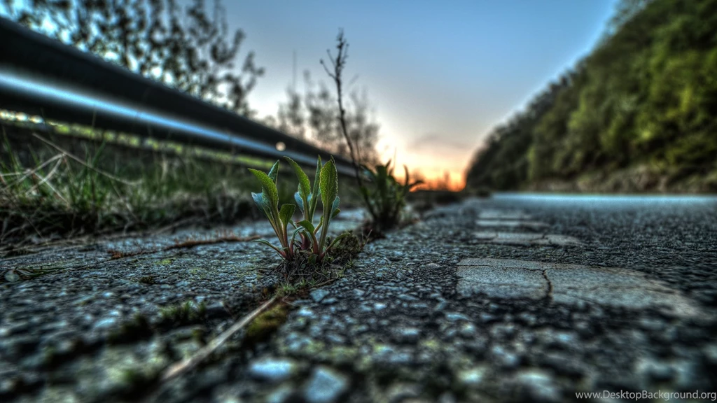 Photography 1440p HQ Wallpapers