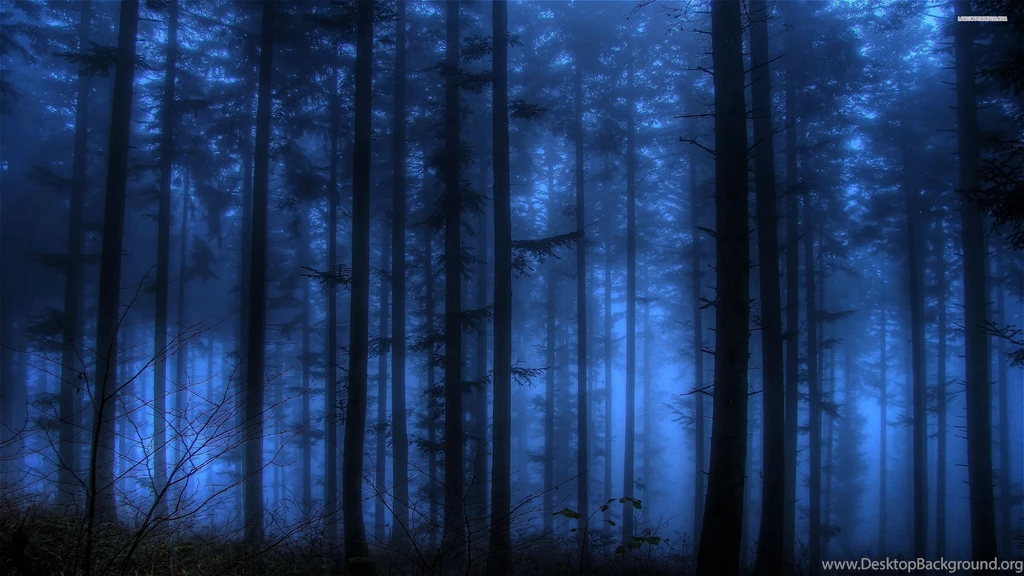 Dark Blue Forest Wallpapers