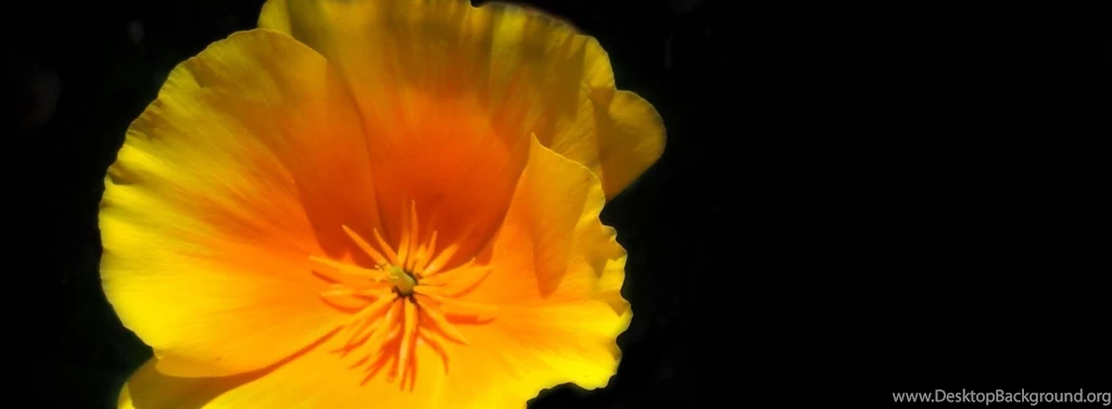 High_contrast_by_soulsucker13 1900x700_c.jpg