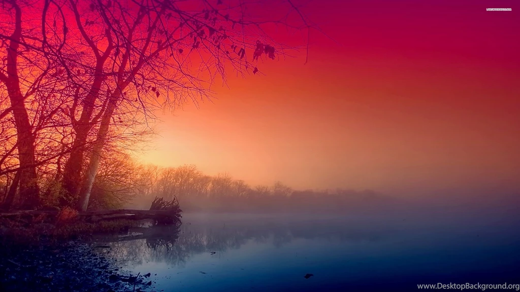 Beautiful Fog Wallpapers
