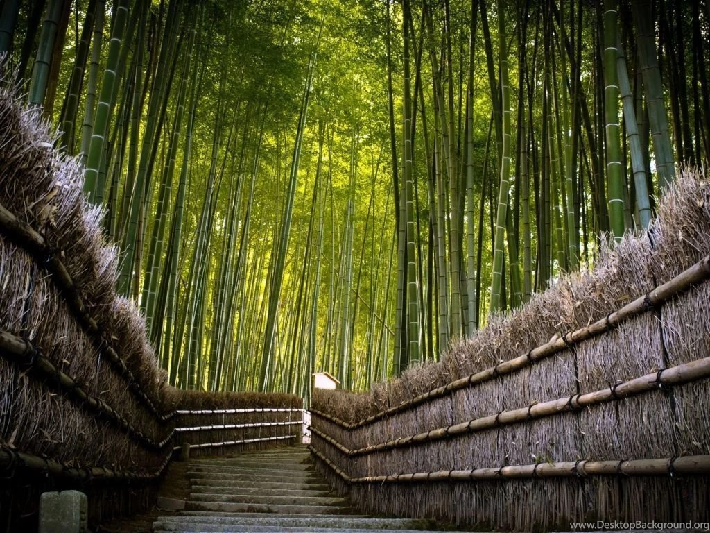 Hd Wallpapers For Mac 1920x1080   Wallpapers Animal Hd