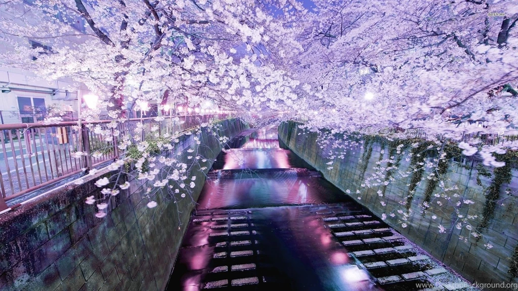 Meguro Gawa, Tokyo Wallpapers World Wallpapers