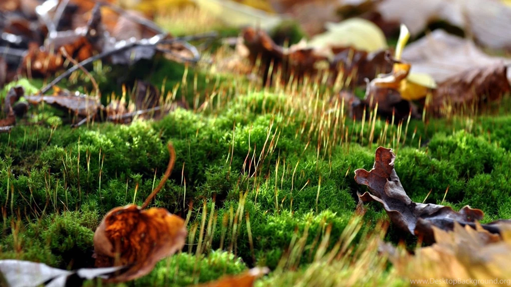 Best 3d Wallpapers For Laptop (2) – Sky HD Wallpapers