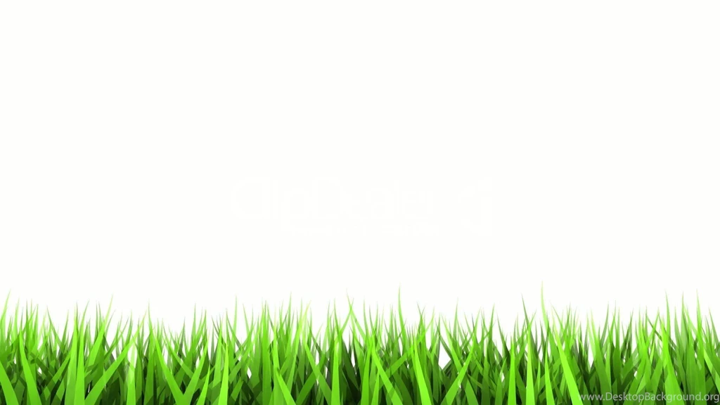 White Wallpapers 18 Best Wallpapers Collection