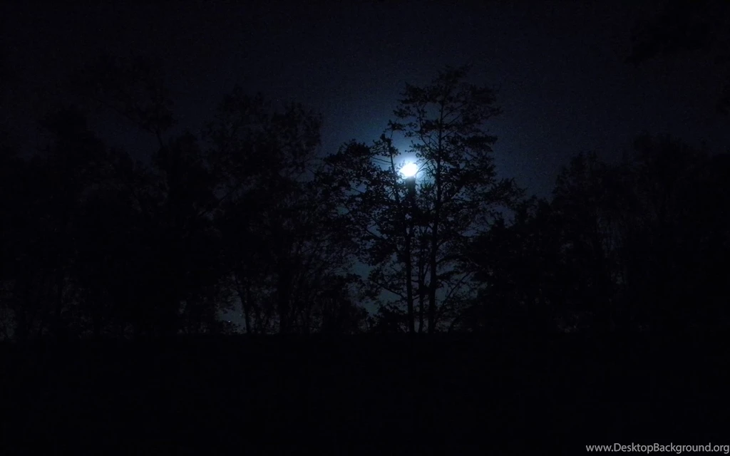 3179) Dark Wolf Full HD Pics Wallpapers WalOps.com