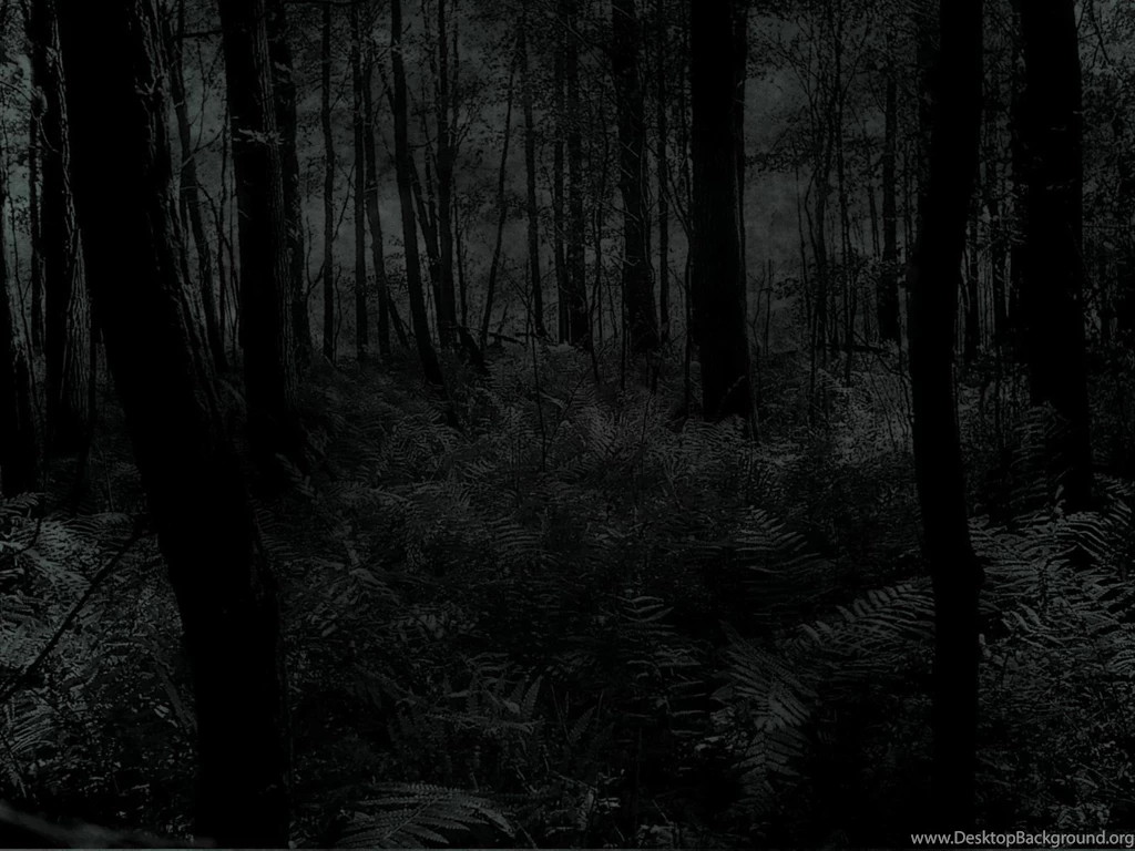 Creepy Trees Dark Forests Woods Wallpapers