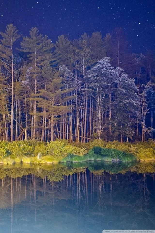 Dark Woods HD Desktop Wallpapers : High Definition : Mobile : Dual ...