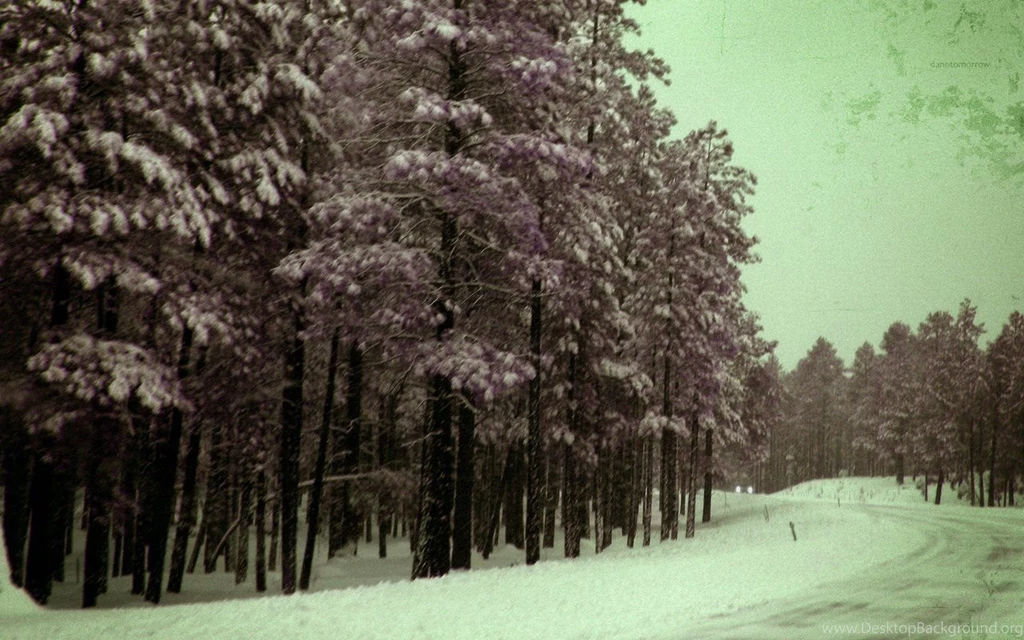 Dark Winter Woods Wallpapers By DaNoTomorrow On DeviantArt