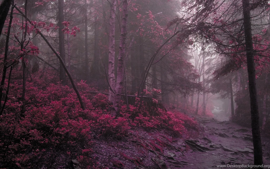 Ultra HD 4K Wood Wallpapers HD, Desktop Backgrounds 3840x2400 ...