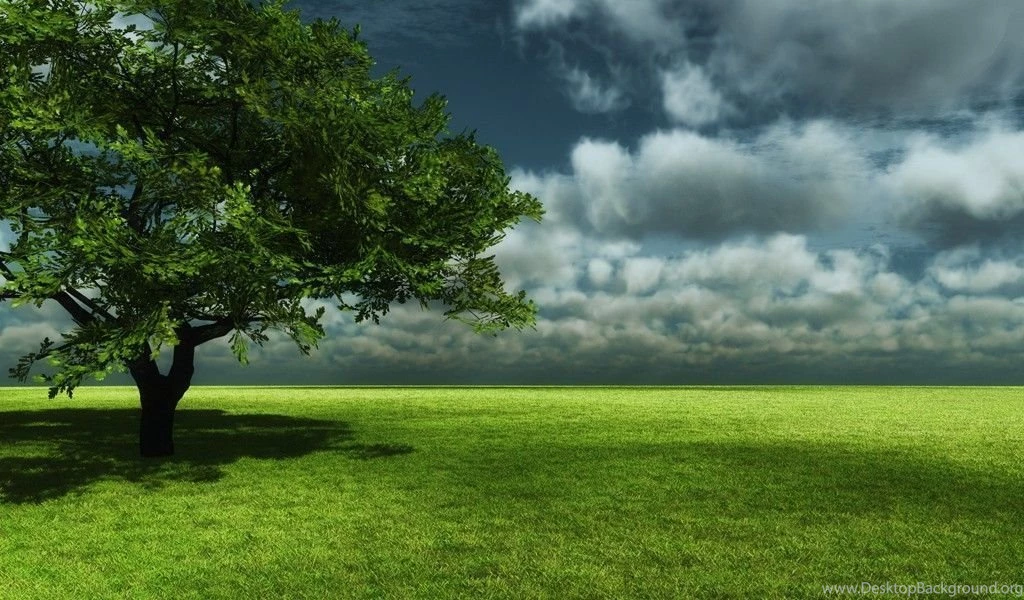 Clouds Fields Trees Wallpapers   (