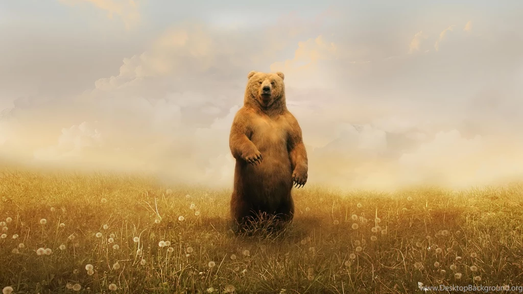 Desktop Wallpapers Gallery Windows 7 Spring Bear PC