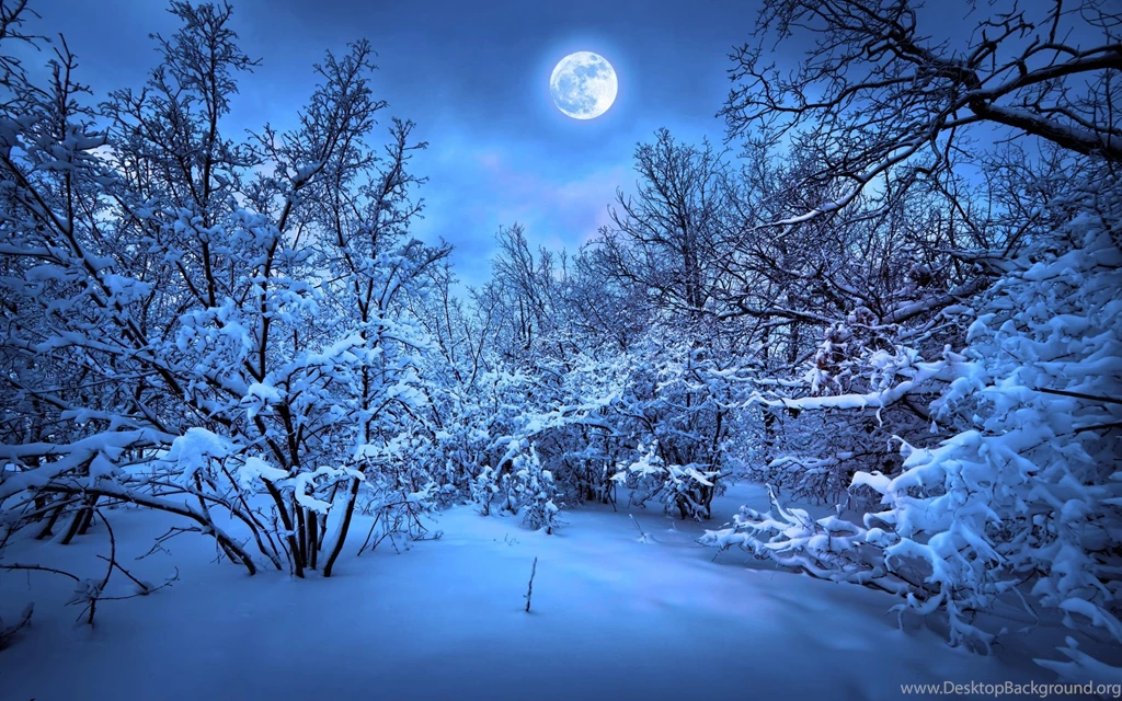 Winter Nights Full Moon Wallpapers HD For Desktop & Mobile