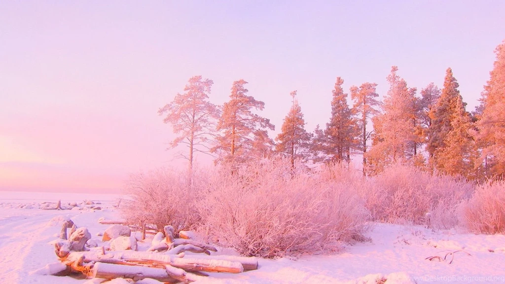 Pink Sunset Light Over Snowy Forest, 1920x1080 HD Wallpapers And ...