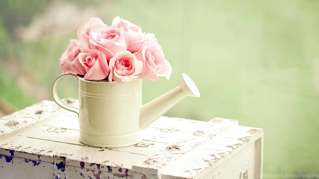 SUMMERTIME WALLPAPER   (