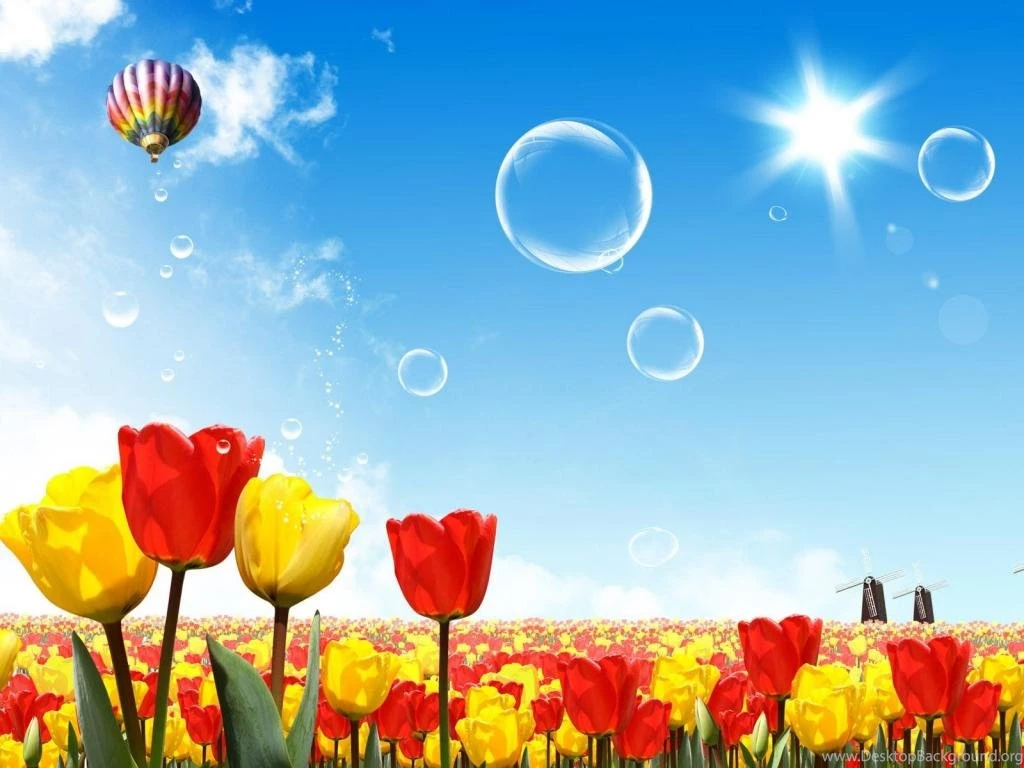 Summertime 1024x768 Wallpapers, 1024x768 Wallpapers & Pictures ...