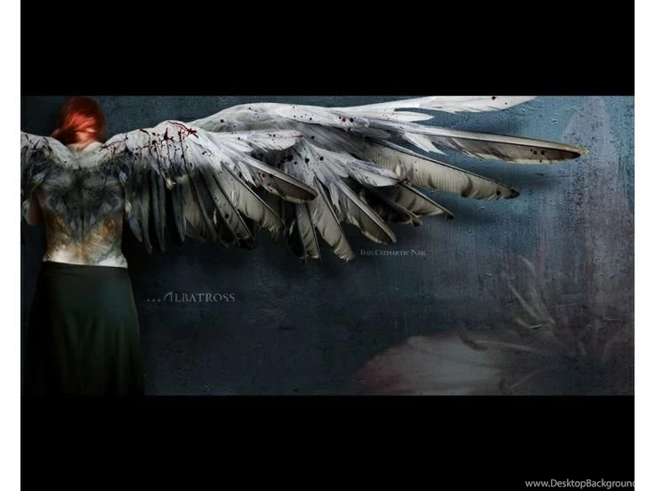 Angel Wings Wallpapers